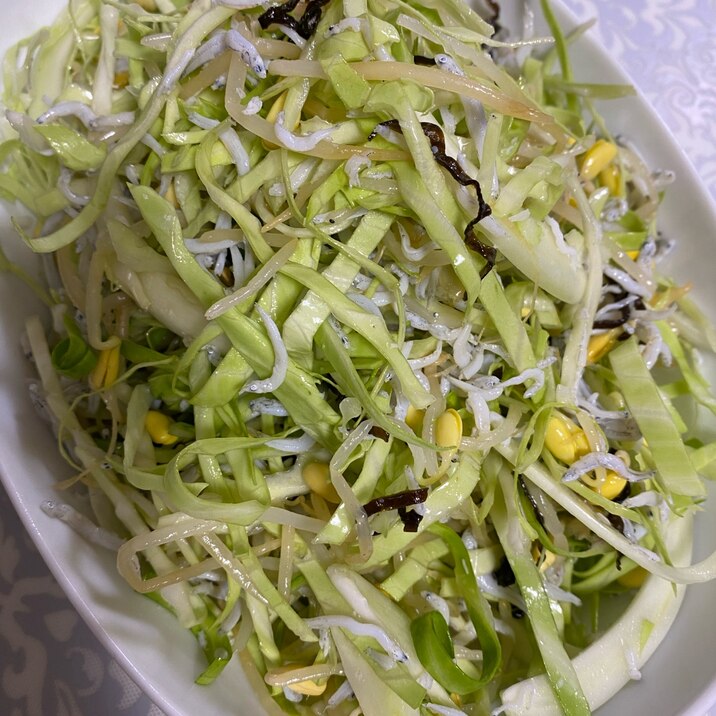 キャベツと豆もやしのしらすサラダ レシピ 作り方 By You花凛 楽天レシピ キャベツと豆もやしのしらすサラダ レシピ 作り方 By You花凛 楽天レシピ